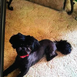 Meet your Posher, Marcia